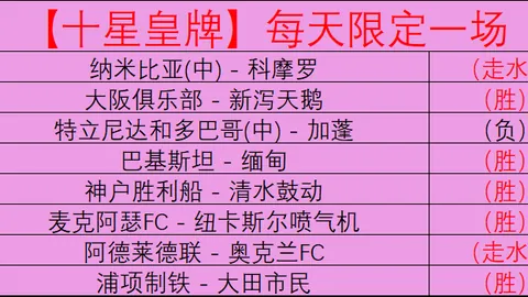 大乐透期号专家质合分析：霍芬海姆对决多特蒙德预测